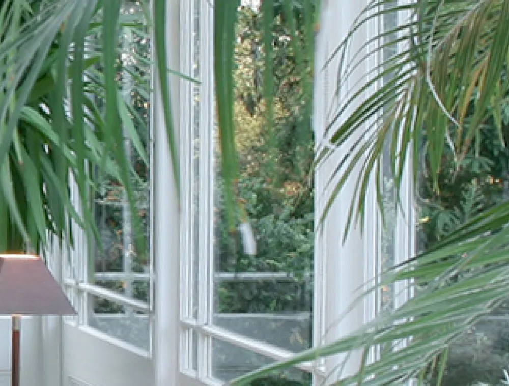 Conservatory & Orangery